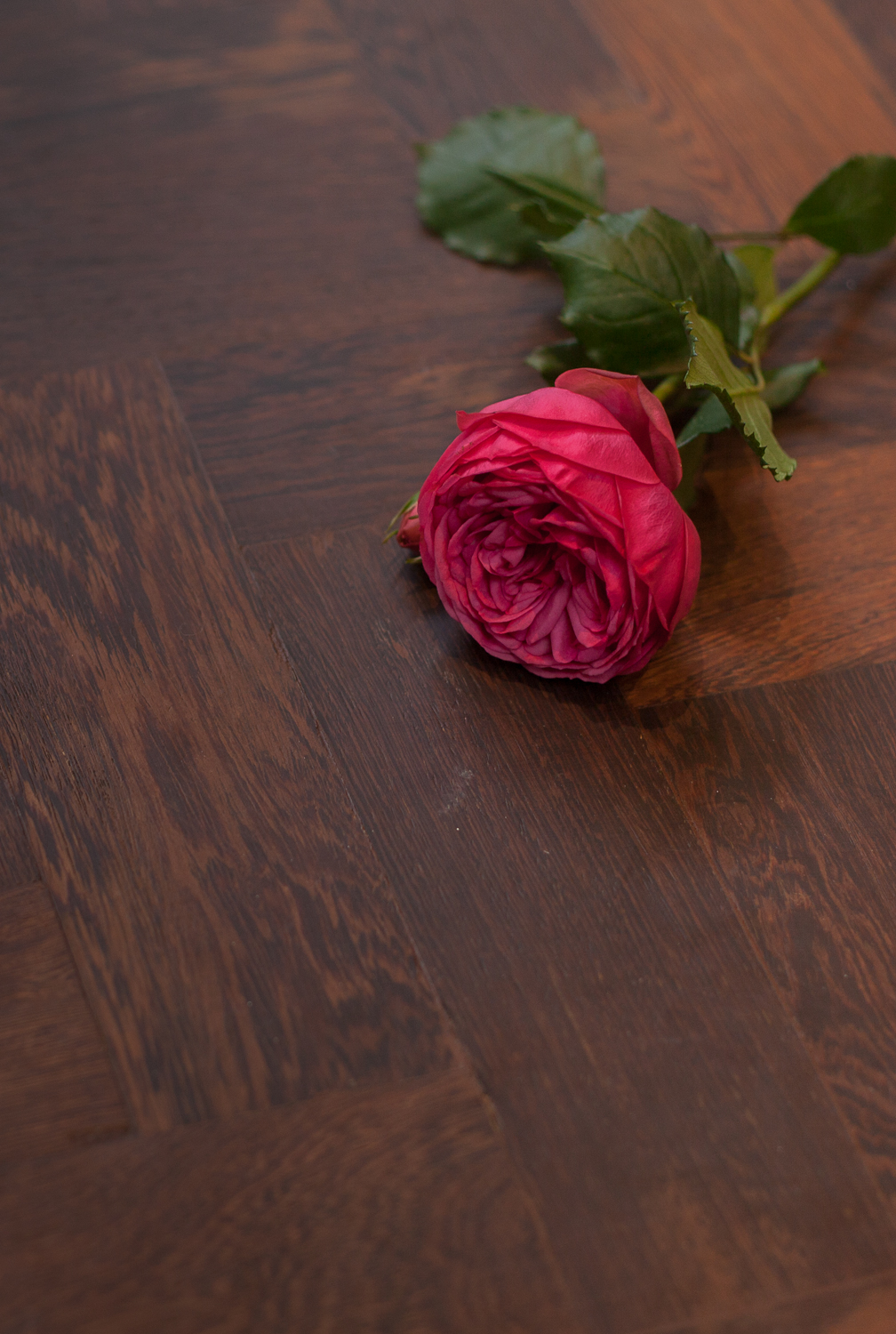 Panga panga wood flooring laid in parquet pattern with rose laid on the floor