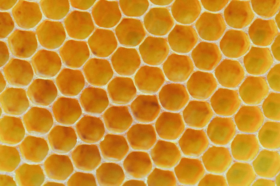 should you wax or oil wood? close up image of honeycomb